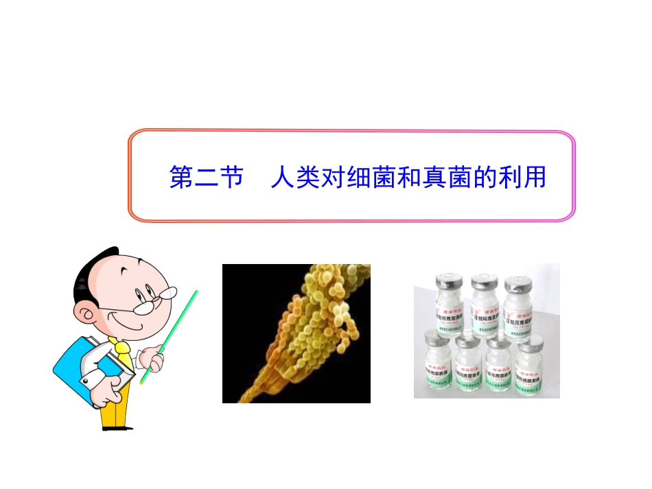 人类对细菌和真菌的利用_第1页