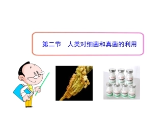 人类对细菌和真菌的利用