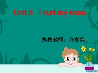 许春焕Unit6Ihurtmyknee