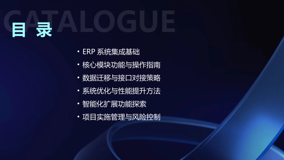 2024年ERP系统集成解决方案深度培训教程_第2页