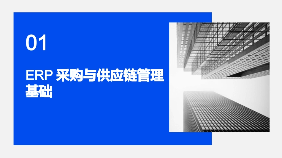 2024年ERP采购与供应链管理高级培训_第3页