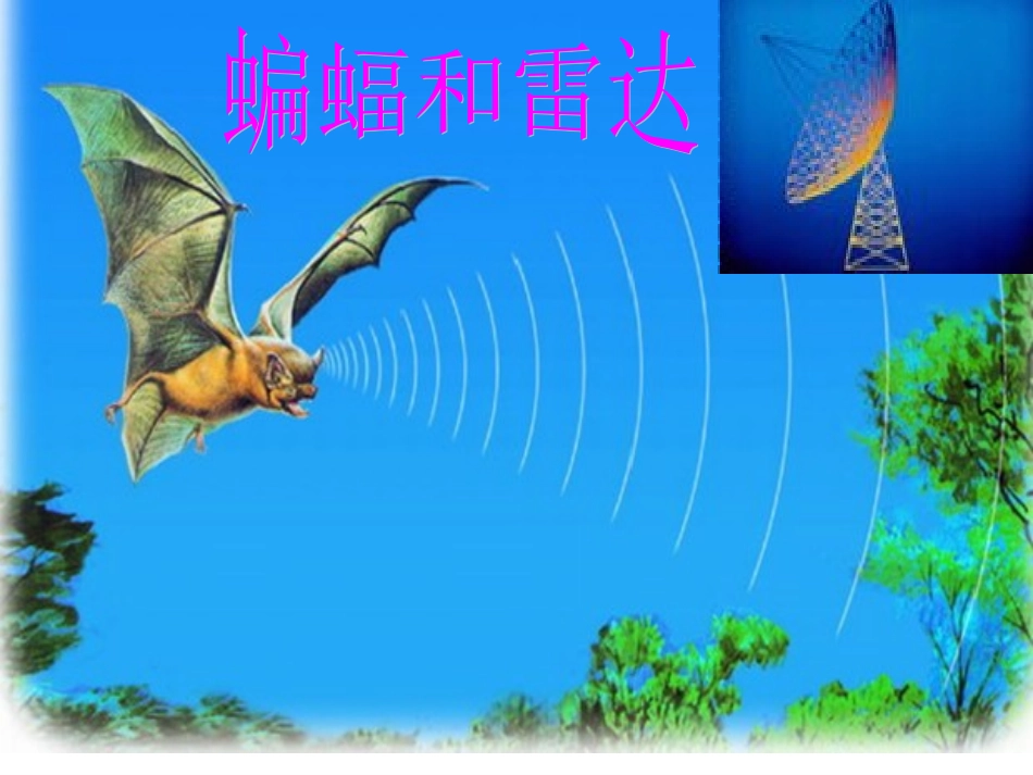 蝙蝠和雷达(免费)2_第2页