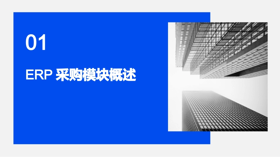 2024年ERP采购模块应用专项培训教程_第3页