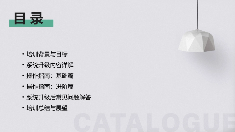 2024年ERP采购系统升级培训及操作指南_第2页