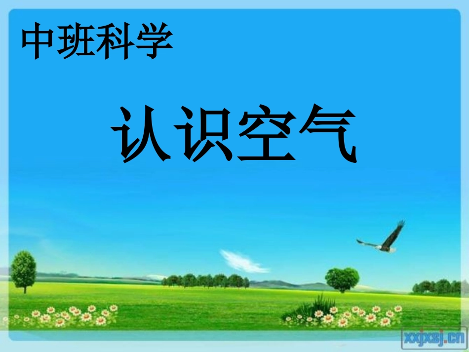 中班科学《认识空气》_第1页