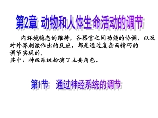 通过神经的调节