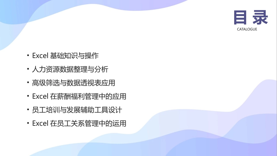 2024年Excel人力资源管理高效培训教程_第2页