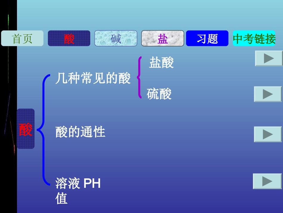 初中化学酸碱盐总复习课件[1]_第2页