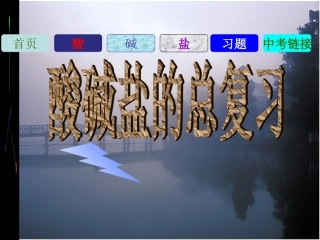 初中化学酸碱盐总复习课件[1]