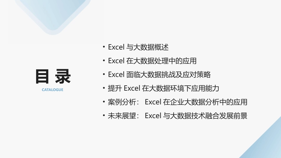 2024年Excel在大数据时代的应用与挑战_第2页