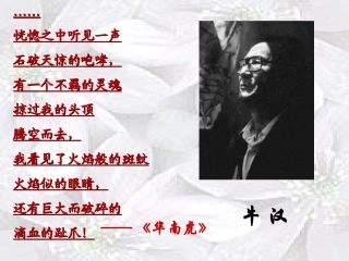 《我的第一本书》