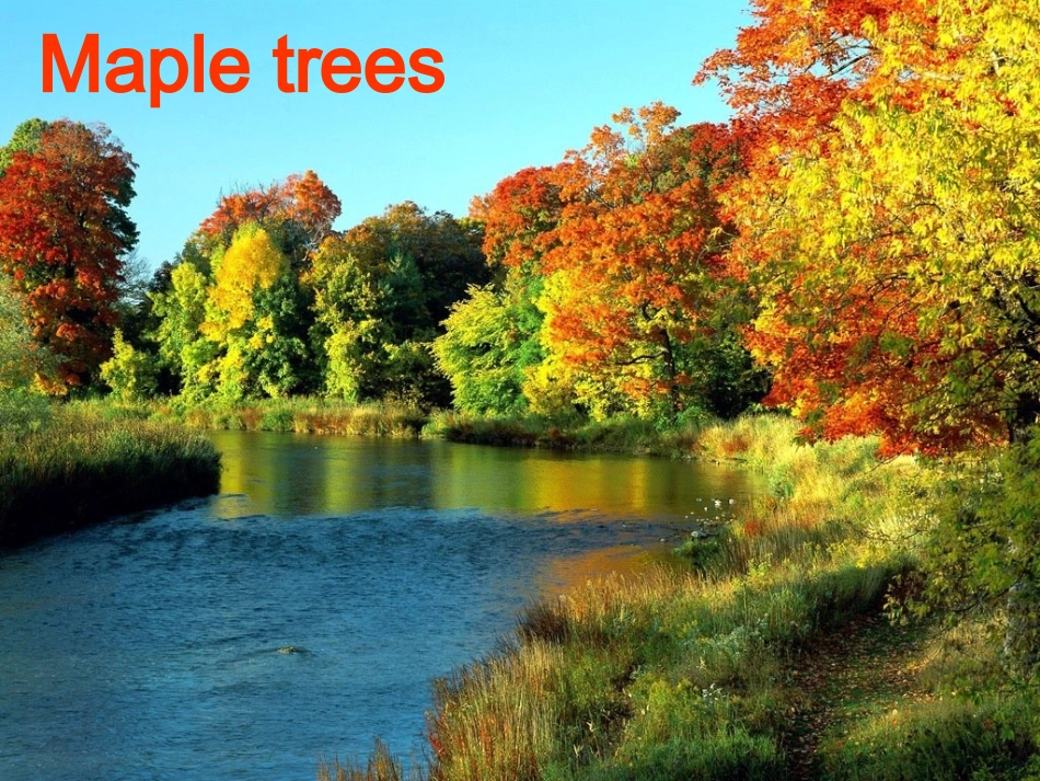 阅读2英语必修三unit_5_Canada“The_True_North”reading_第2页