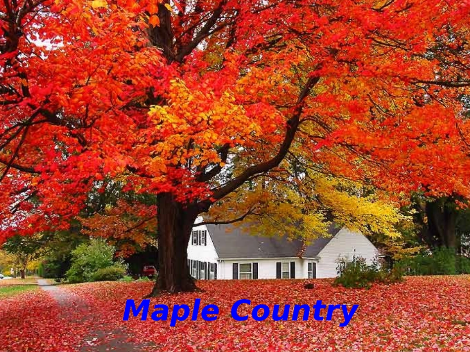 阅读2英语必修三unit_5_Canada“The_True_North”reading_第3页