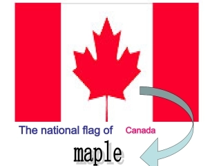 阅读2英语必修三unit_5_Canada“The_True_North”reading