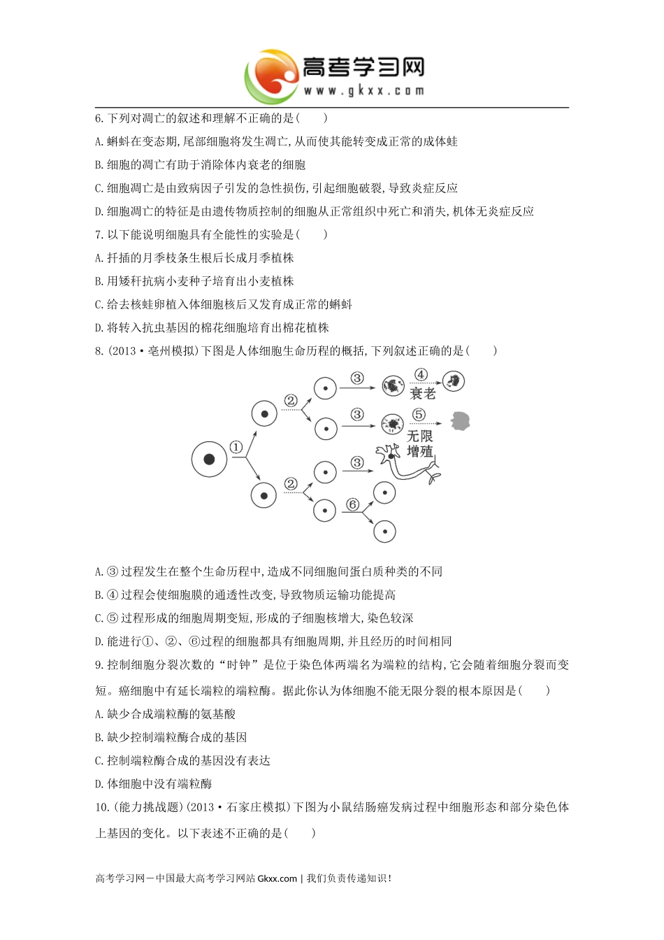 细胞的分化、细胞的衰老和凋亡、细胞的癌变》_第2页