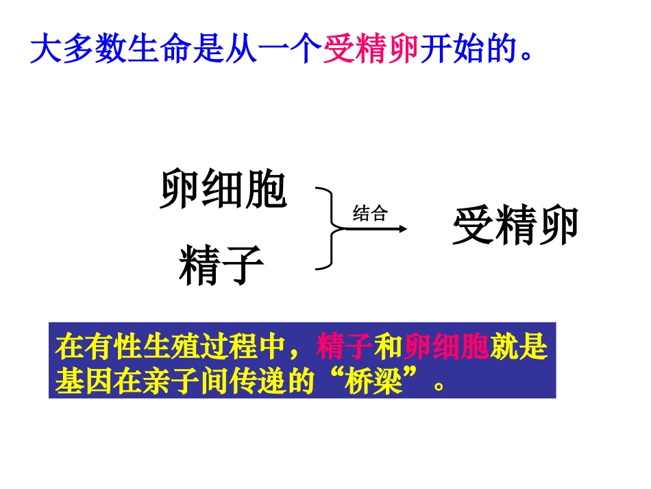 基因在亲子间的传递-_第3页