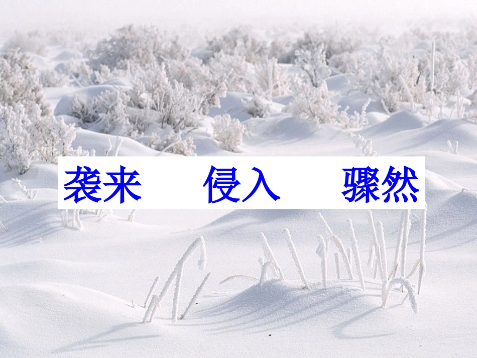 《瑞雪图》课件_第3页