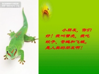 代文小壁虎借尾巴课件