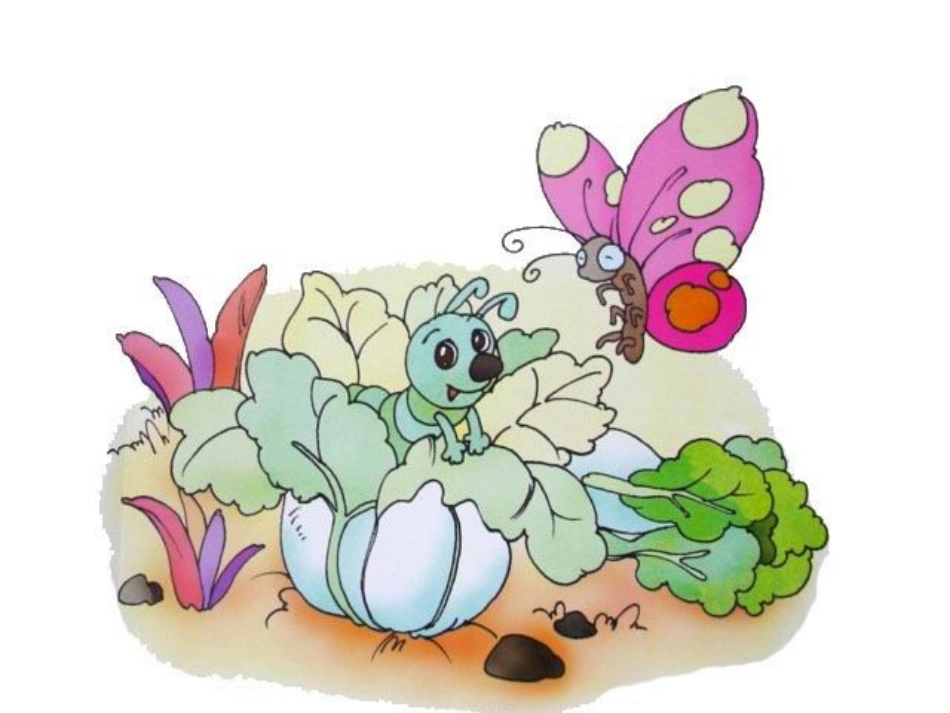 《篓里的青虫》教学课件_第2页