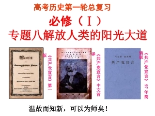 复习课件：专题八_解放人类的阳光大道_7
