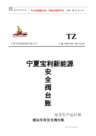 宝利新能源安全阀台账(1)