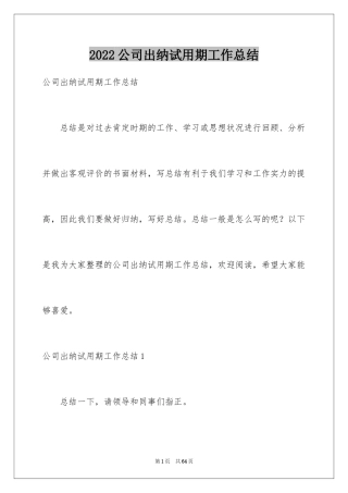 2024公司出纳试用期工作总结_2