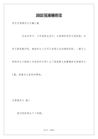 2024兄弟情作文_58