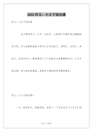 2024作文：小王子读后感