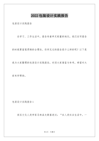 2024包装设计实践报告