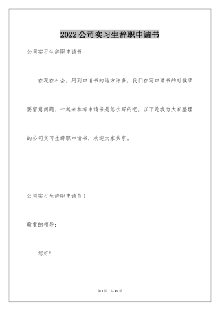 2024公司实习生辞职申请书_3