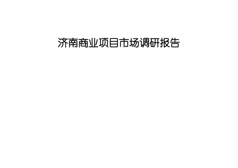 济南商业项目市场调研报告_第1页