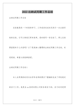 2024出纳试用期工作总结_22