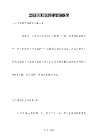 2024元旦见闻作文500字