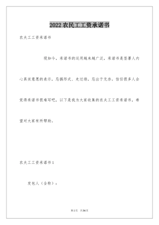 2024农民工工资承诺书_6