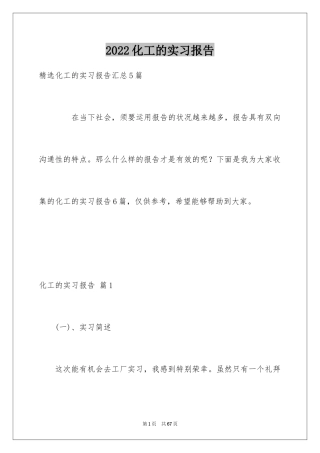 2024化工的实习报告_29