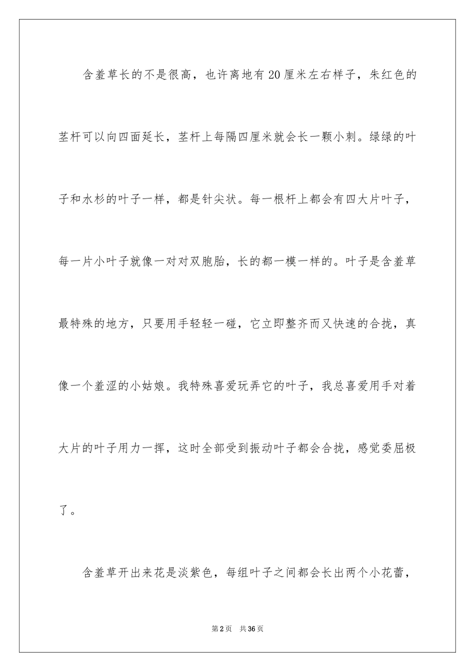 2024含羞草日记_第2页