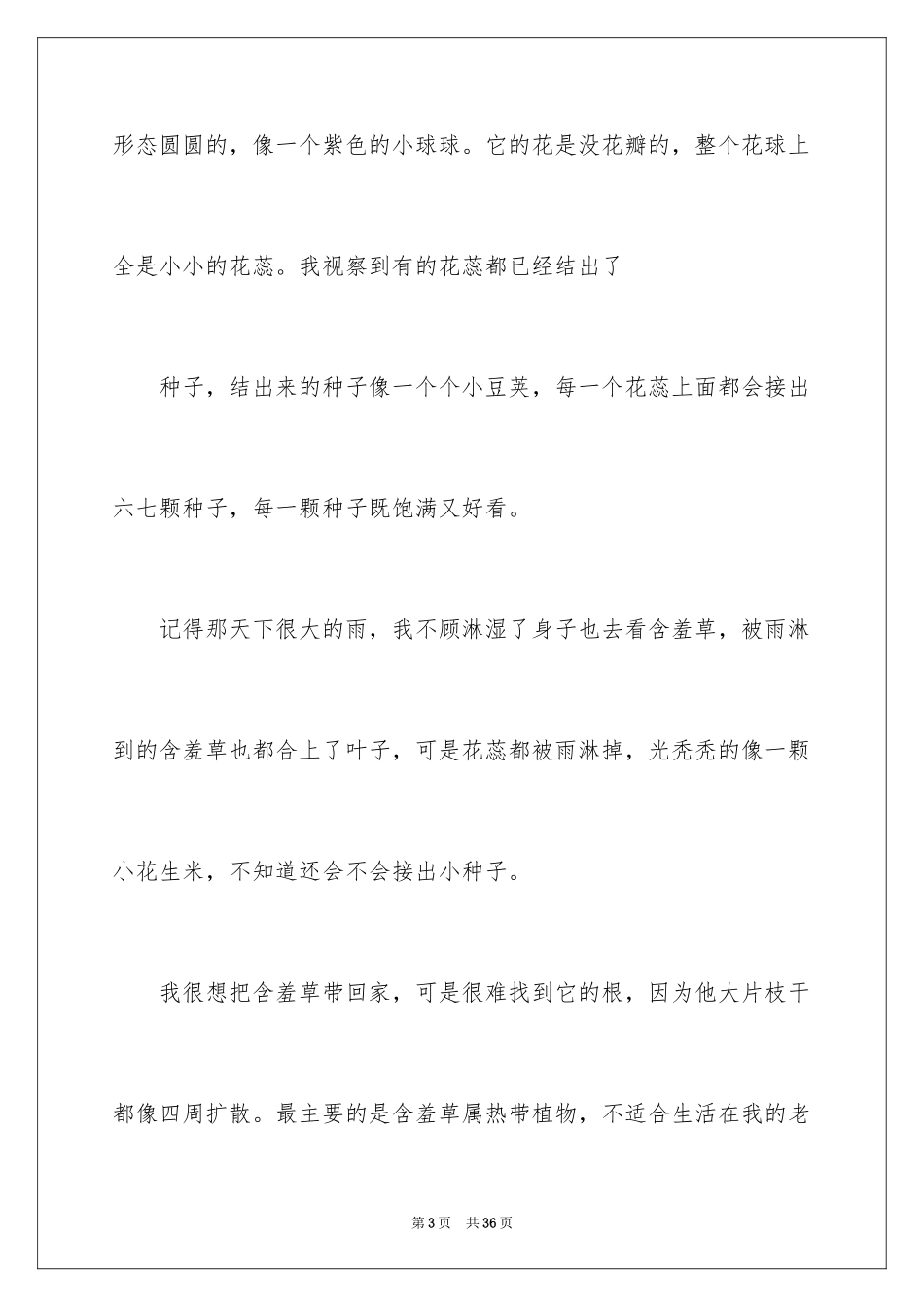 2024含羞草日记_第3页