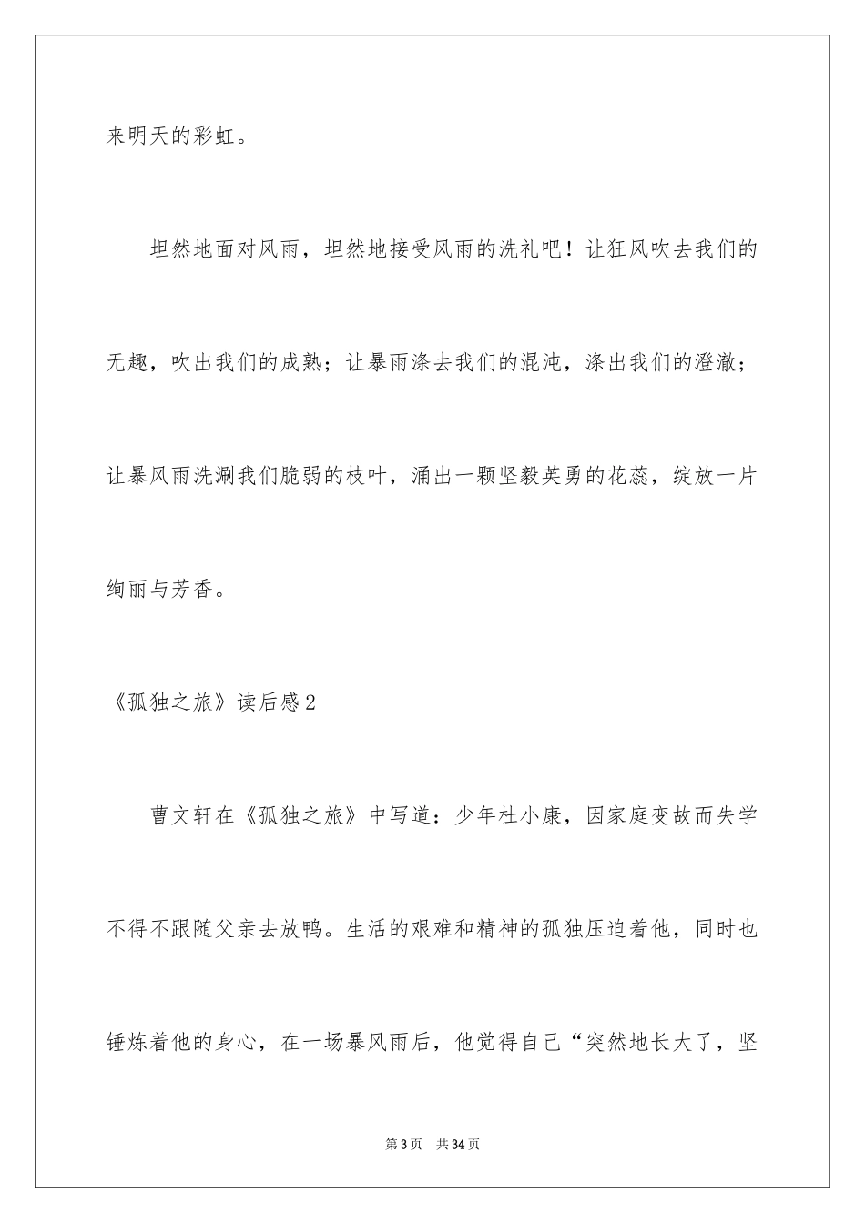 2024《孤独之旅》读后感_3_第3页