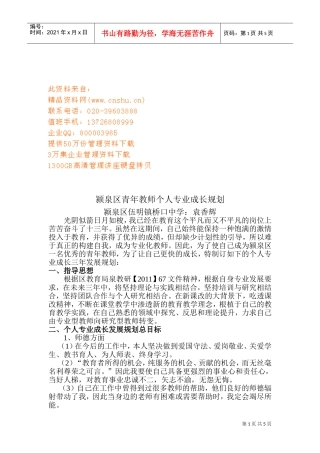 青年教师个人专业成长规划