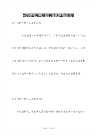 2024公司出纳年终个人工作总结_2