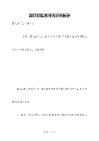 2024团队执行力心得体会_2