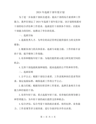 2024年选派干部年度计划