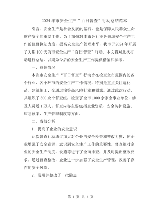 2024年市安全生产“百日督查”行动总结范本