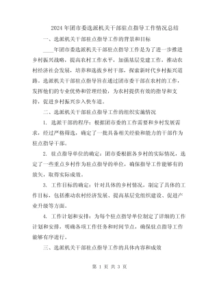 2024年团市委选派机关干部驻点指导工作情况总结