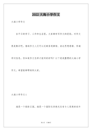 2024大海小学作文_3