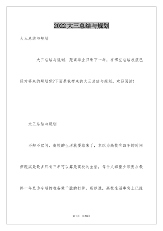 2024大三总结与规划