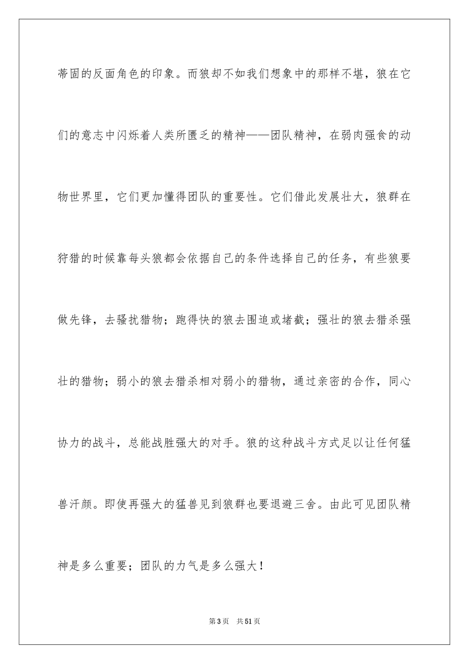 2024团队的演讲稿_5_第3页