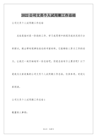 2024公司文员个人试用期工作总结