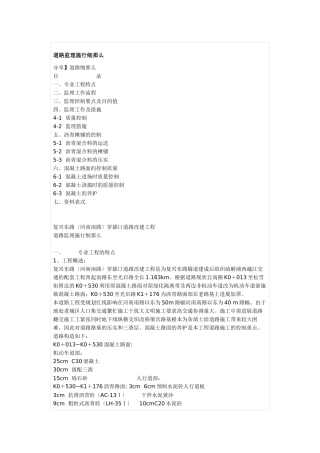 复兴东路（河南南路）交叉口道路改建工程