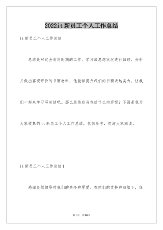 2024it新员工个人工作总结